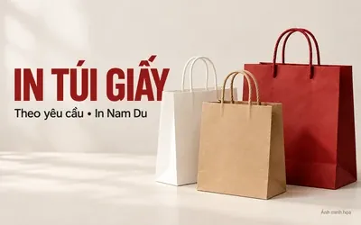 In túi giấy theo yêu cầu tại Hà Nội - ảnh minh họa sản phẩm